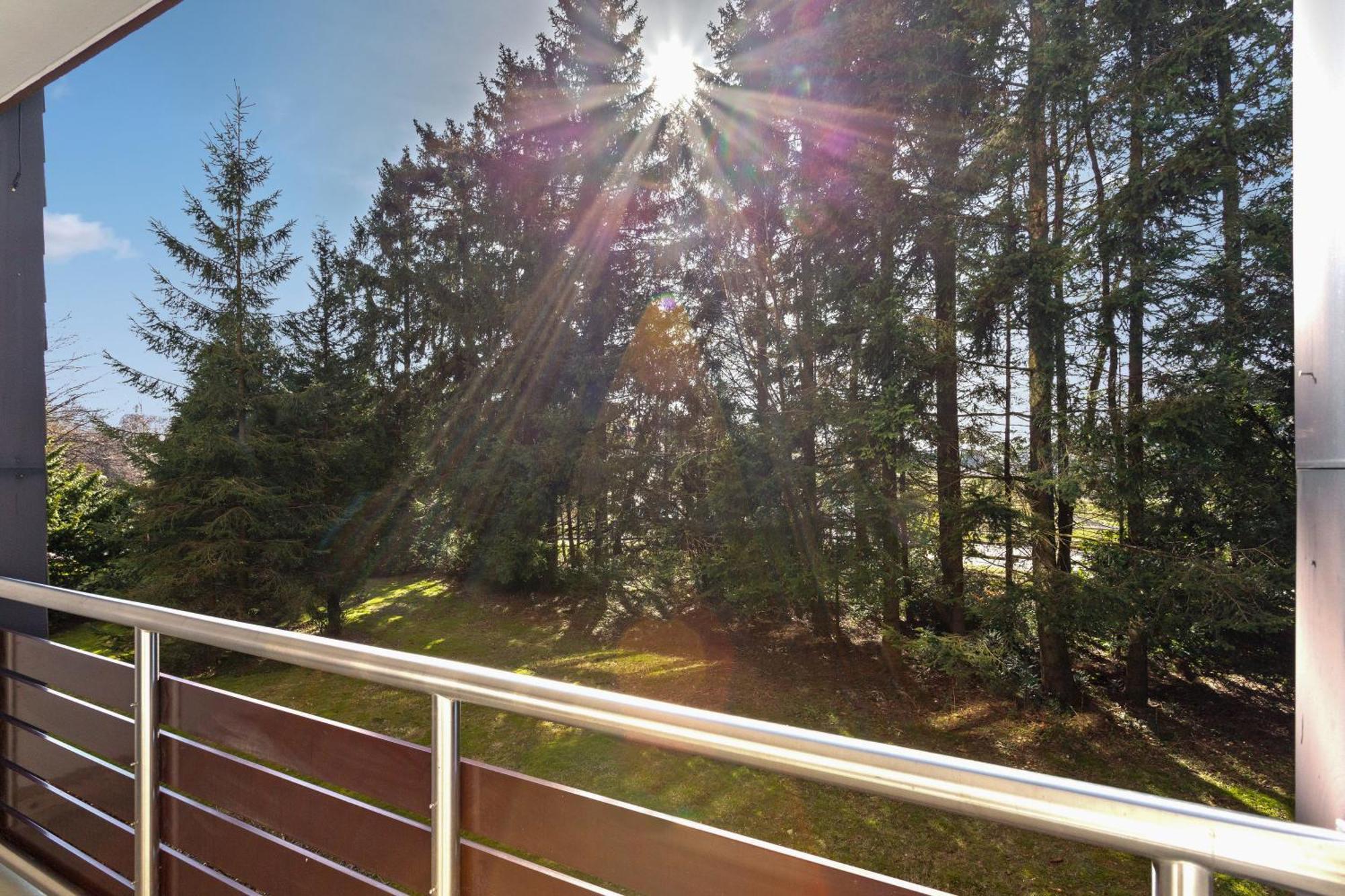 Apartament Hillside Zentrale Lage Bikepark & Piste Winterberg Zewnętrze zdjęcie